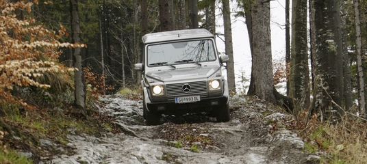 Mercedes-Benz G-Klasse am Sch�ckl